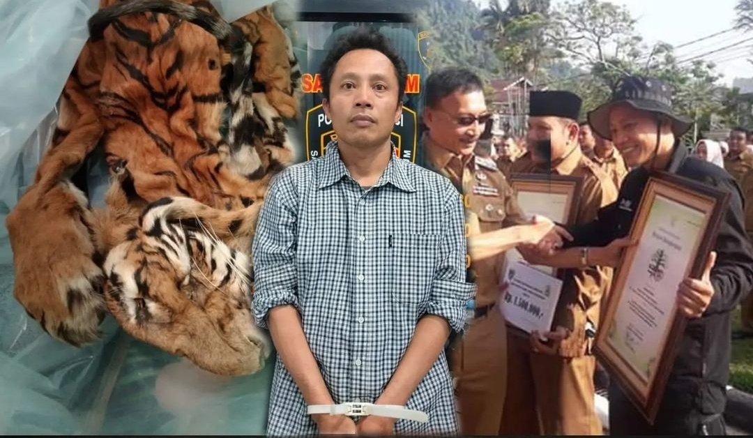 mwv_mystic's tweet photo. PAGAR MAKAN TANAMAN

Seorang peraih Kalpataru Tokoh Peduli Lingkungan Sumatera Barat, justru tertangkap tangan sedang menjual kulit harimau sumatera

a thread https://t.co/srBRjcqd1U