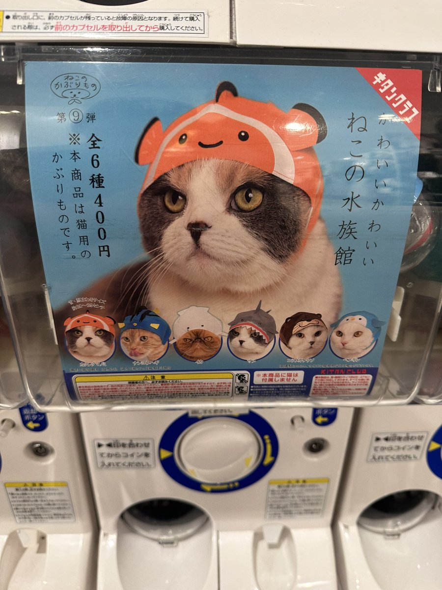 Be11atrix12's tweet photo. ガフみがある🤣 https://t.co/QtdH5EPKZu