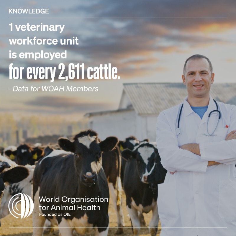 WOAH's tweet photo. COVID-19, Ebola, SARS… the #pandemics we experienced all have one thing in common: animals.  Animal 🦒 , human &amp; plant 🌱  health are interconnected —a threat to one is a threat to all. For this reason, the #veterinary workforce has a key role to play in securing global health.