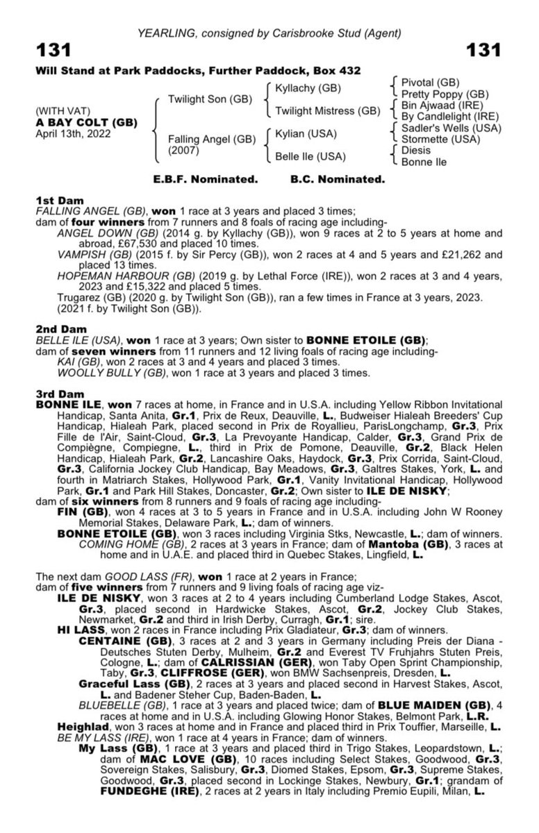 Carisbrooke Stud tweet media