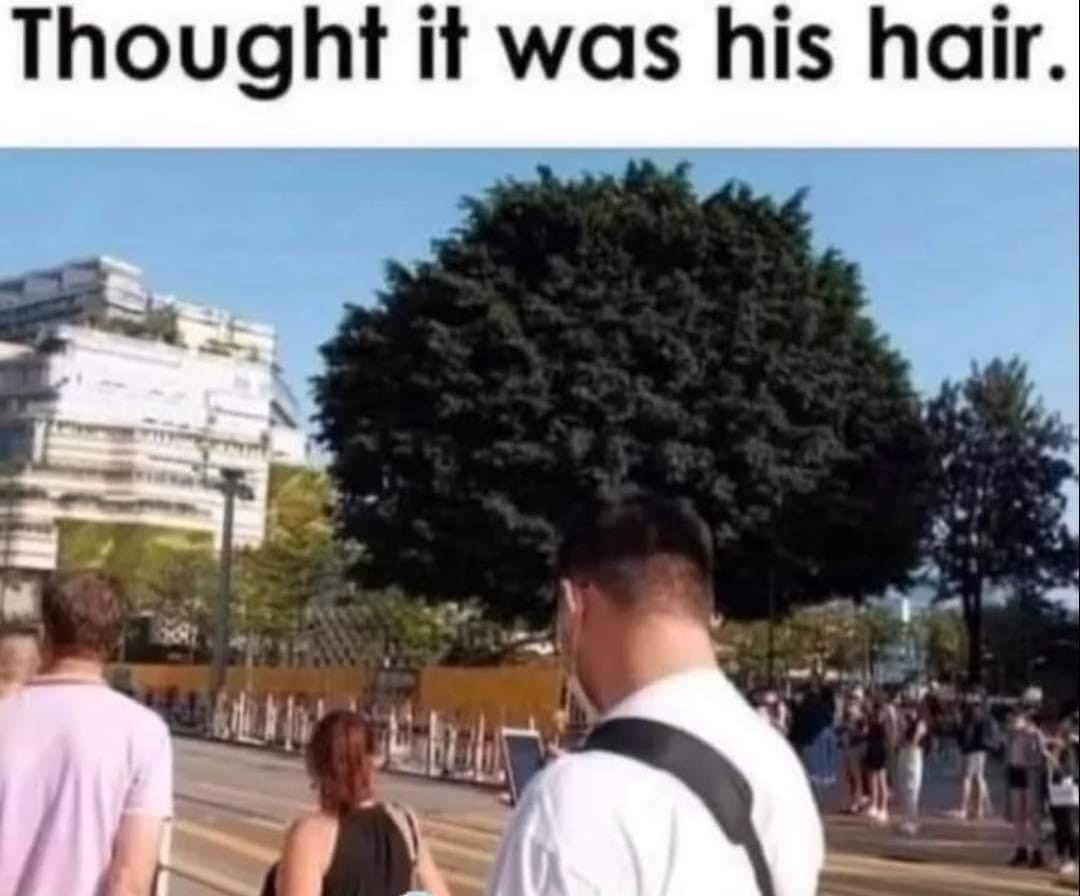 Ruthie Searcy tweet media