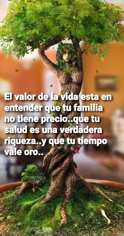 Lo verdaderamente valioso✨