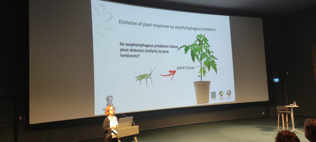 What a conference in Brest!!! Congrats to the organisers and all participants for the great talks! BeMOST was there of course :) <a href="/astredhor/">ASTREDHOR</a> <a href="/IOBC_WPRS/">IOBC-WPRS</a>