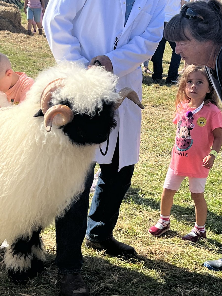 Vertiworks's tweet photo. What a fantastic day @DorsetCShow ! Beautiful weather, a great show, perfect. Lovely to meet a few of our clients too https://t.co/3lukIFNW9i