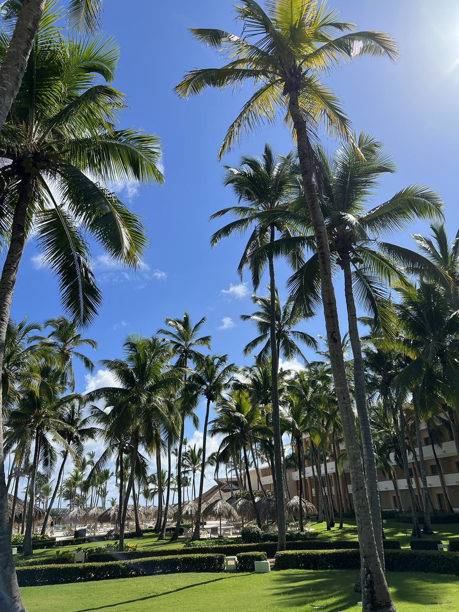 Rami Lueso tweet media