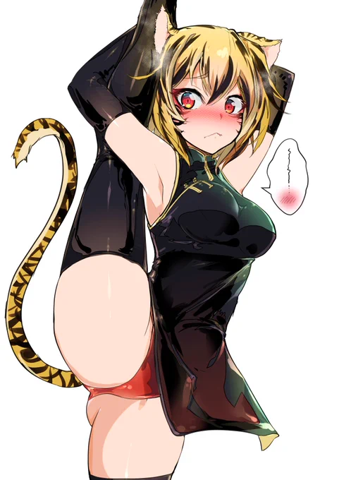 站椿(たんとう)によって鍛えられた足腰加えて虎という猫科の柔軟な筋肉。1枚絵の題材によって微妙に寄せ方が変わる 