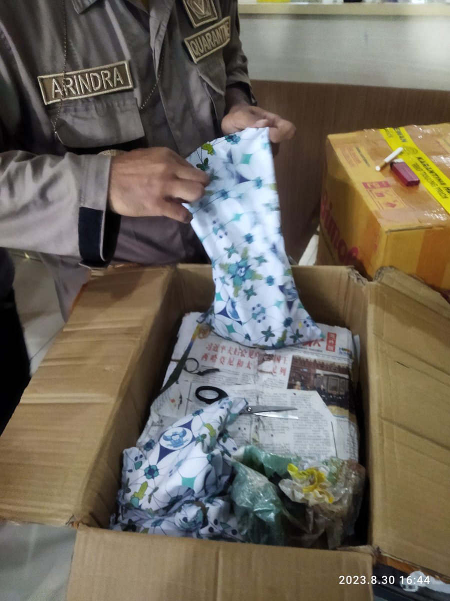 bahronialmansur's tweet image. Ular ini adalah spesies yang masuk dalam kategori satwa langkah dan dilindungi, Penggagalan pemasukan tersebut berkat kerja sama yg baik antara Intelijen Karantina tg priok dan Bais #ular #satwa #PapuaIndonesia