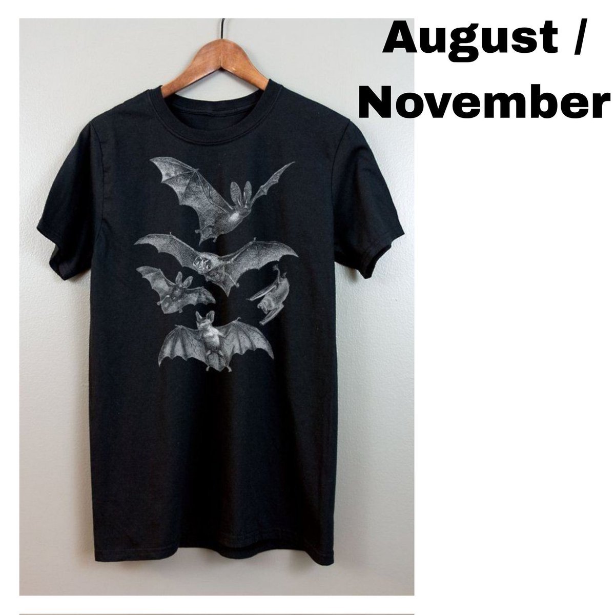 ASTER 🎲🦋 tweet media