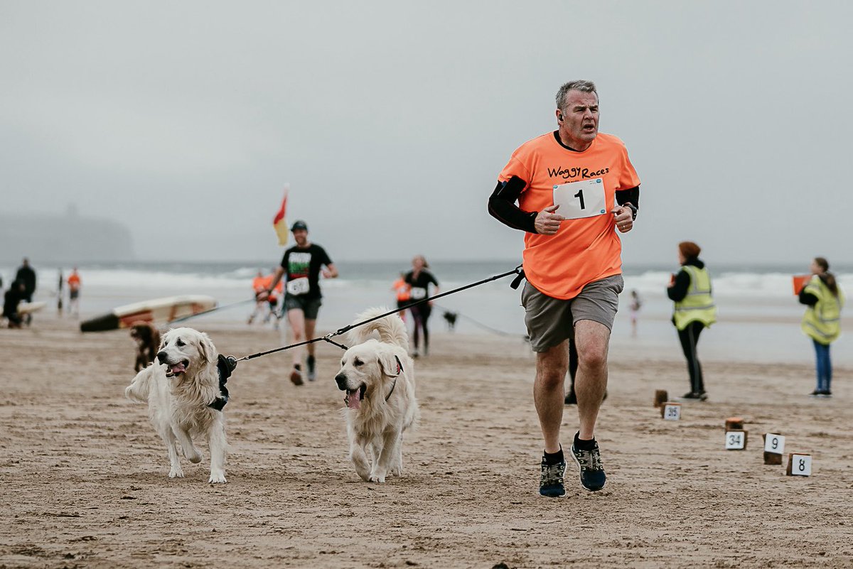 waggyraces's tweet photo. ➡️https://t.co/zUpkCLOcfR 
Only 4 weeks til the 18th Waggy Races!
Only 3 weeks left to enter.
Only 1 week left to get a t-shirt.
@PStrandNT
@NationalTrustNI https://t.co/ZiDADp1cHJ