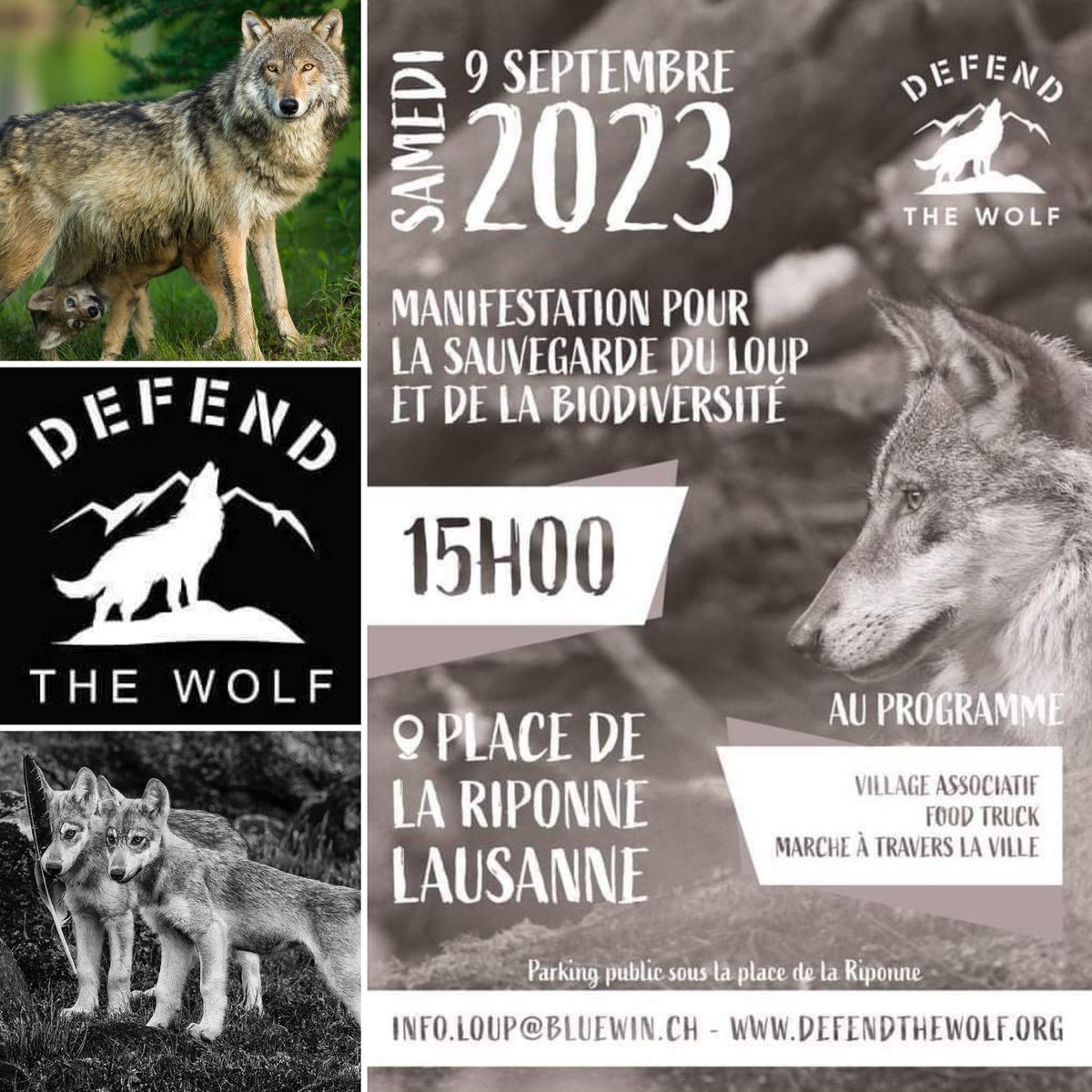 AAktivismus's tweet image. PRO-WOLF-DEMO 🐺 LAUSANNE

Pro-Wolf-Demo 🐺 Sa, 9.9.23, Place de la Piponne, Lausanne. 

Der Bund ruft zur pro aktiven Jagd auf Wölfe auf. @Bundesrat_Bern / @bafuCH 

#ProWolf #StopHunting #manifestation