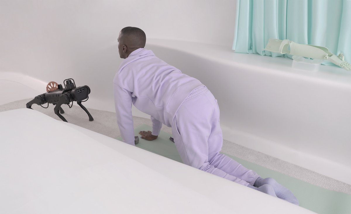 Mit Borrás tweet media