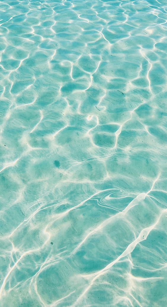 RT <a href="/New_face19/">트윗새내기</a>: 여행이란 젊은이들에게는 교육의 일부이며 연장자들에겐 경험의 일부이다. - 베이컨  🔶