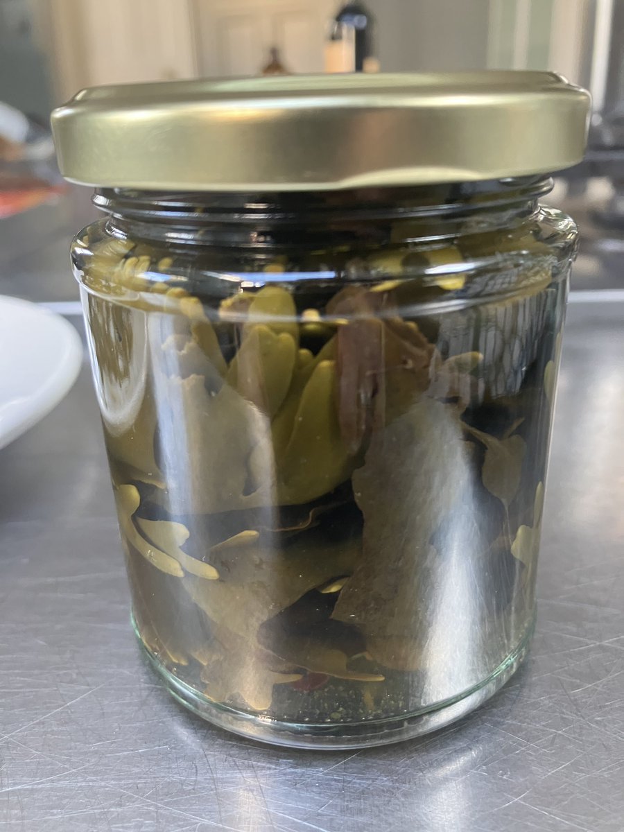 Treats from #sea #foraging. #seaweedcrisps and #pickled #wrack. #seaweed  #foodforfree #forage #wildfood