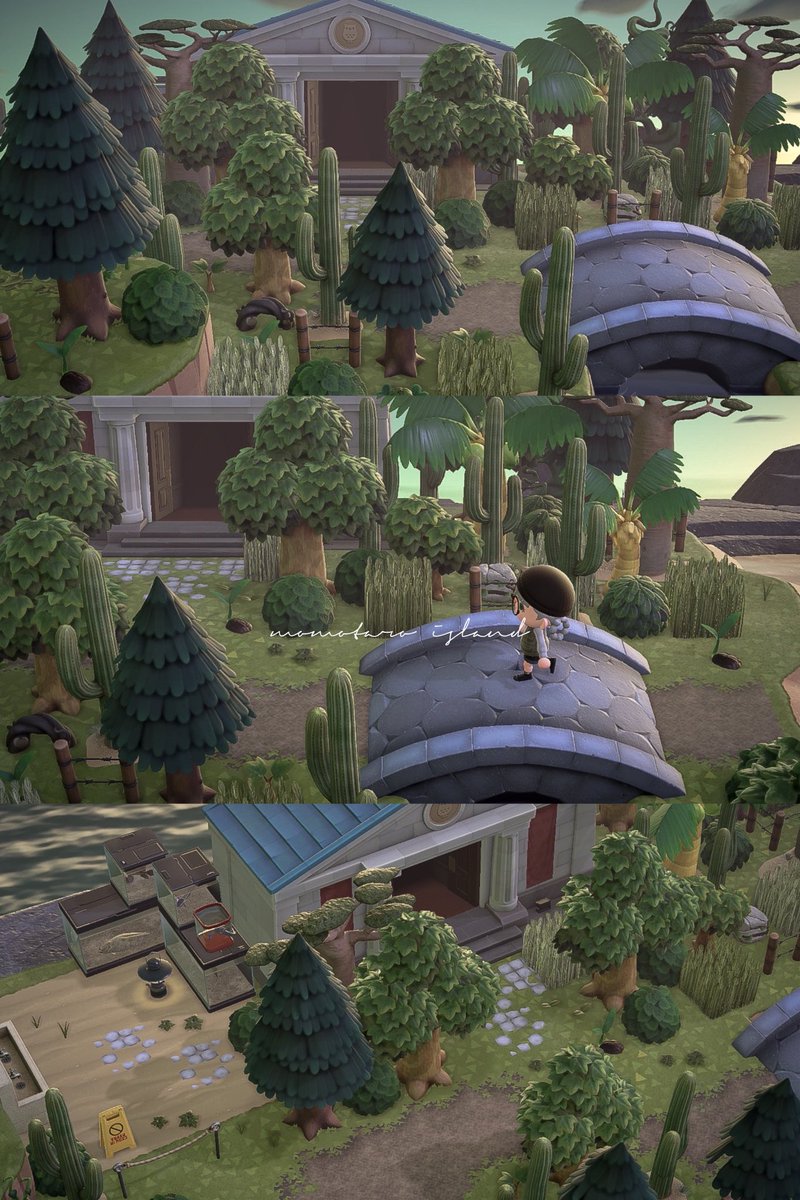 ももた tweet media