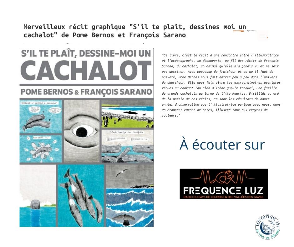 Longitude181 tweet media