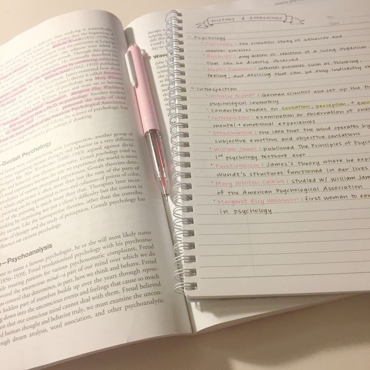 :¨·.·¨:   ˚ ୨  hi !  I'm lumi  ─   day 1   ୧ ˚
 `·..·ˊ       looking for more moots !  
 
—  ☕️ :  about me . . .

⠀☆  she/her, '07 liner, sagi
⠀☆  incoming gr 10 student
⠀☆  new to #studytwt #studytwtph

    ♡ / ↻  are  highly  appreciated  &amp;  to  be  moots  !  >_<