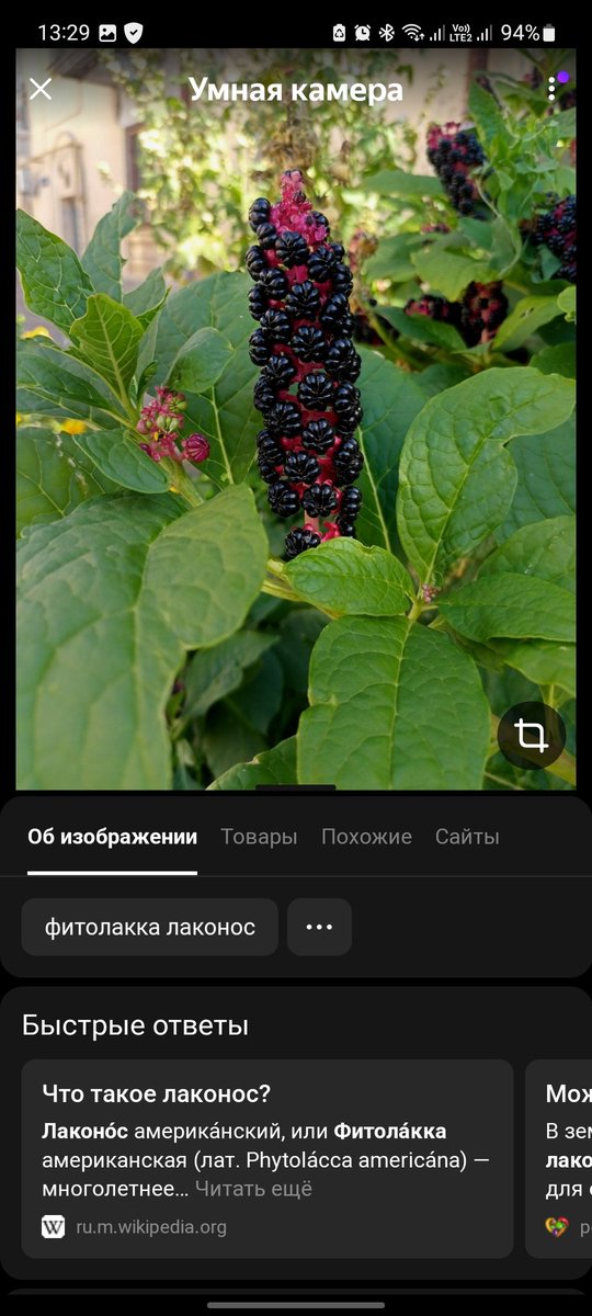lelicfio's tweet photo. @mintmalbonte Яндекс выдает такое https://t.co/C3QruFnR9i