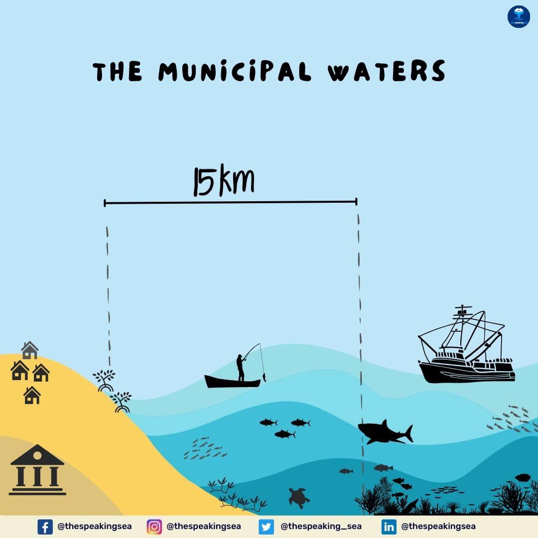 thespeaking_sea's tweet photo. Perhaps one of the most underrated concepts in fisheries management is the Municipal Waters (MW) 🌊
Accdg to the amended Fisheries Code of the PH, MW refers to all inland bodies of water and tidal waters w/in the municipality.
#sdg14 #eafm #atinangkinse #savephseas #enviroeduc https://t.co/ZQz1Ip0iwV
