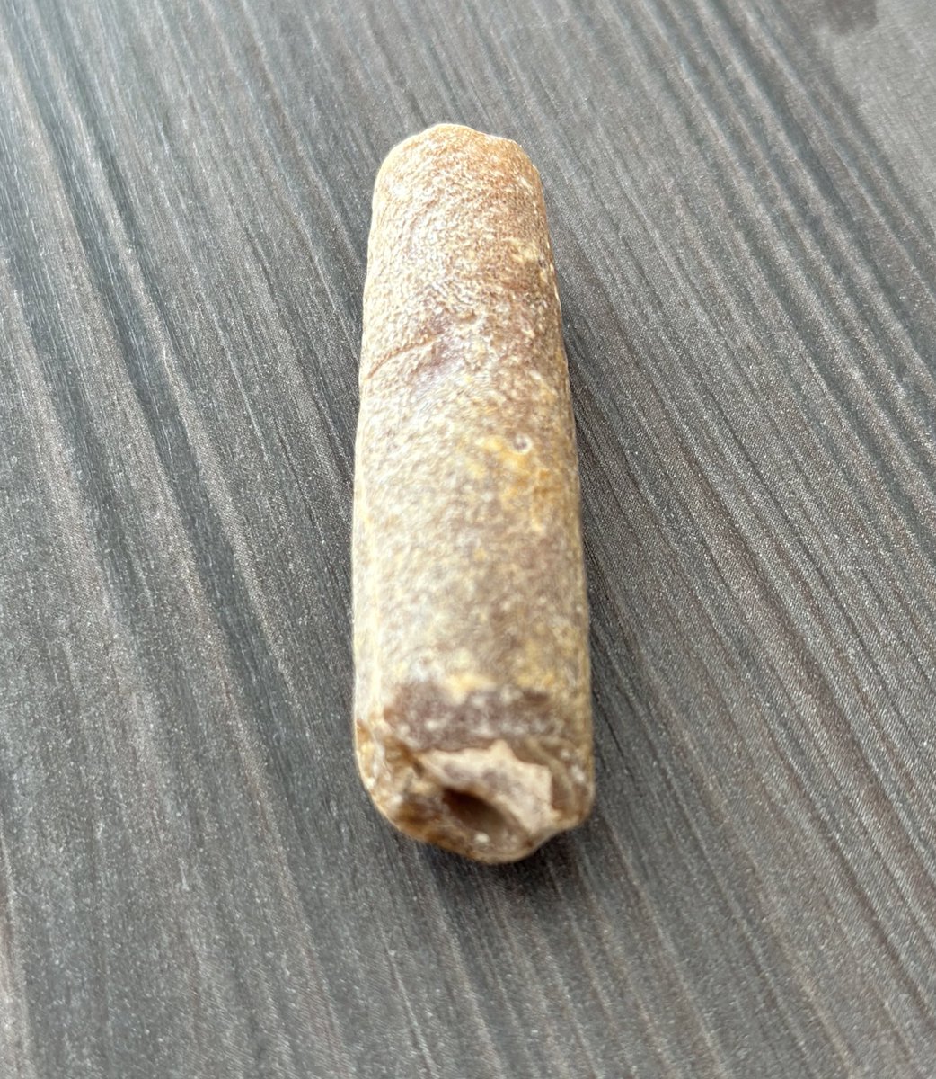 Richard Lain-Smith 💛💚 tweet media