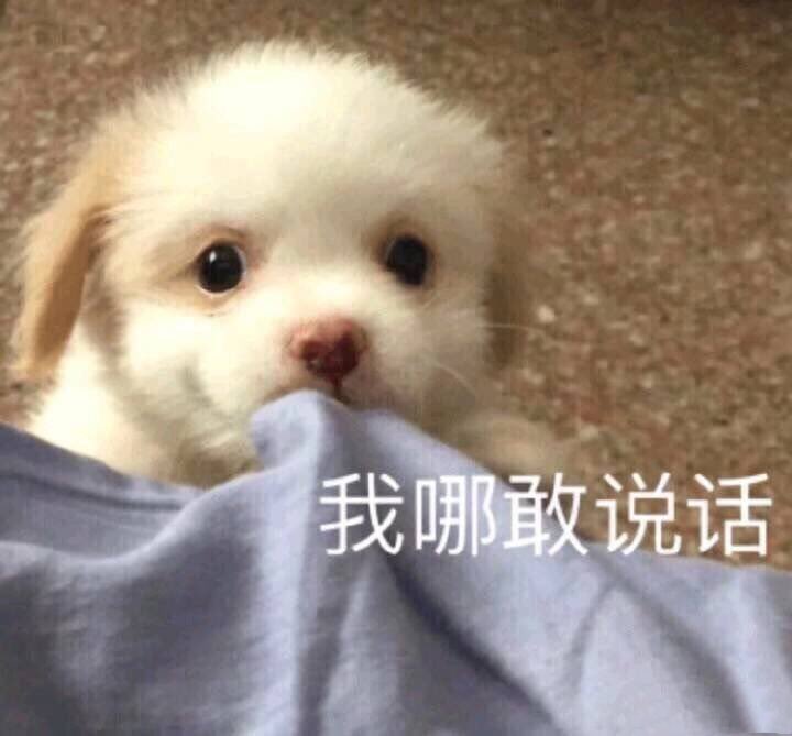 buchi0512_'s tweet photo. 只是想找个活好又能给情绪价值的还能爆金币的男朋友 https://t.co/QTlzzE1Nfi