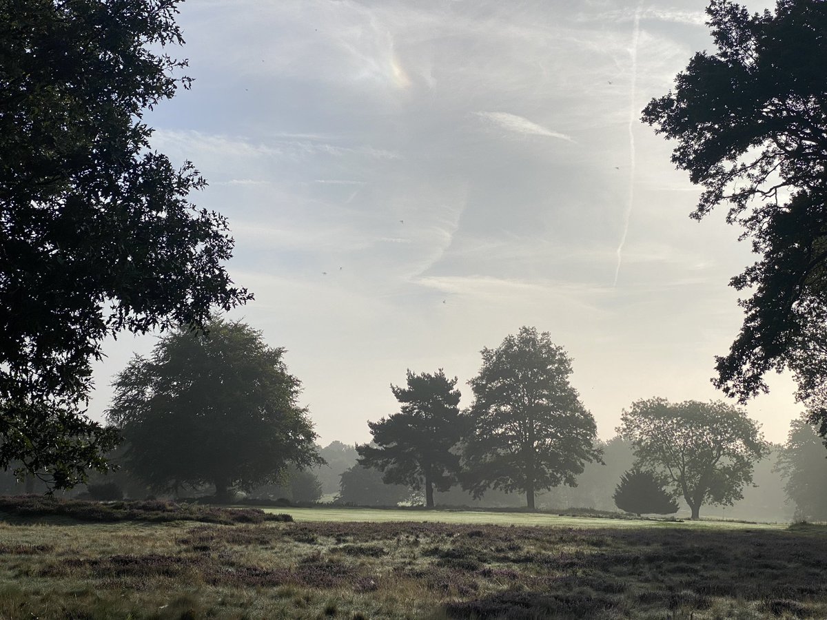 plestee's tweet photo. Beautiful morning after a foggy start @StonehamGC. The recovery from maintenance week has been excellent and a great strike on the Bents too. Top work #TeamStoneham https://t.co/TTIb2E84cT