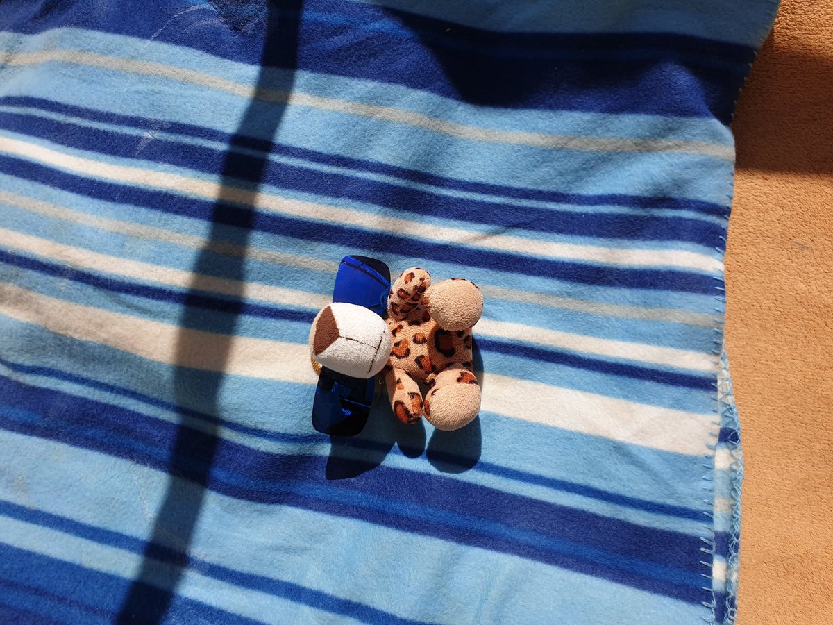 Flying_APU's tweet photo. Der Alte meckert ja immer übers Wetter. Mach ich es mir solange gemütlich. ☀️🏖️ https://t.co/c3D2hlsJTA