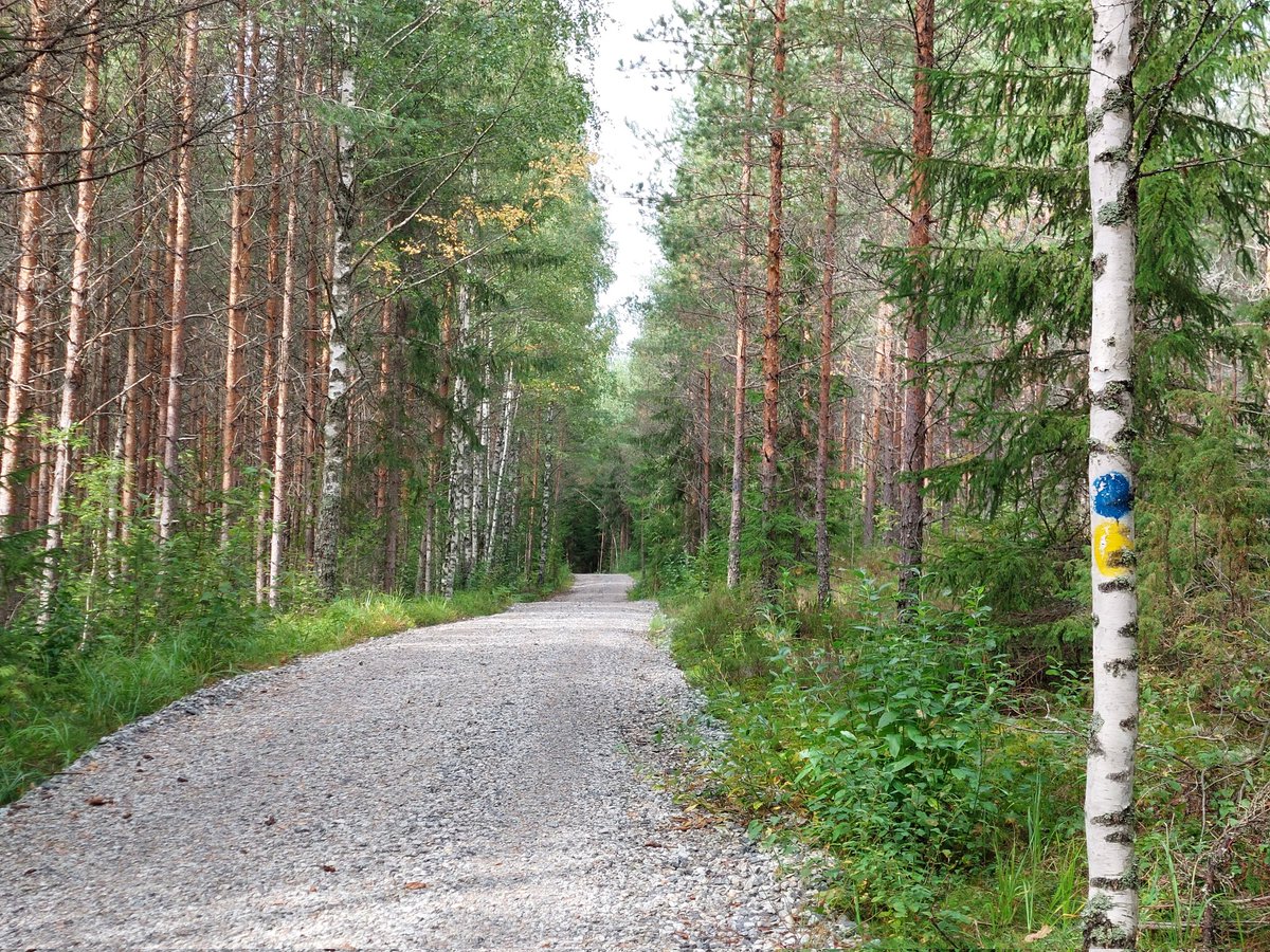 VarjoVain's tweet photo. Found a lovely trail. https://t.co/KilLZLW8fA