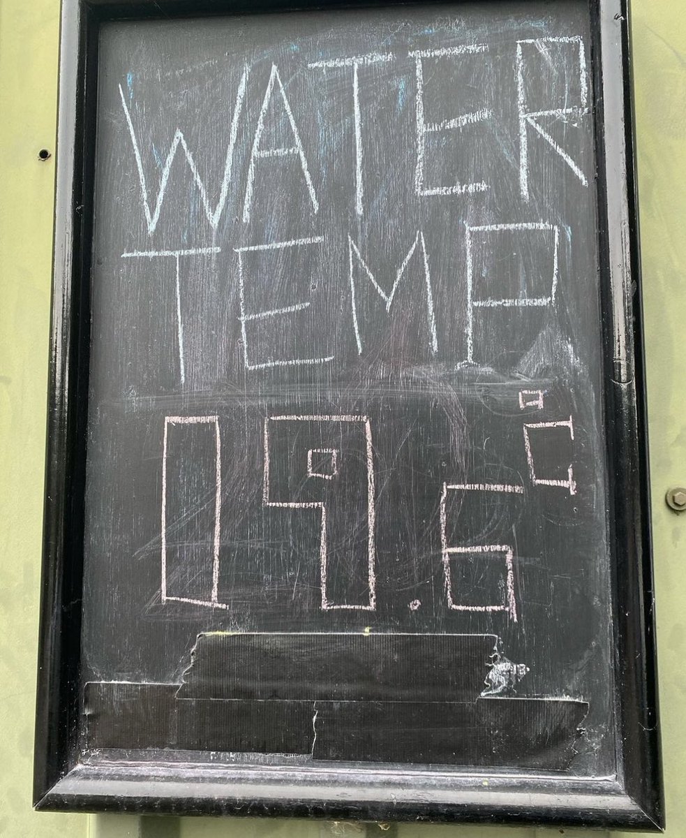 lifeguards tweet media