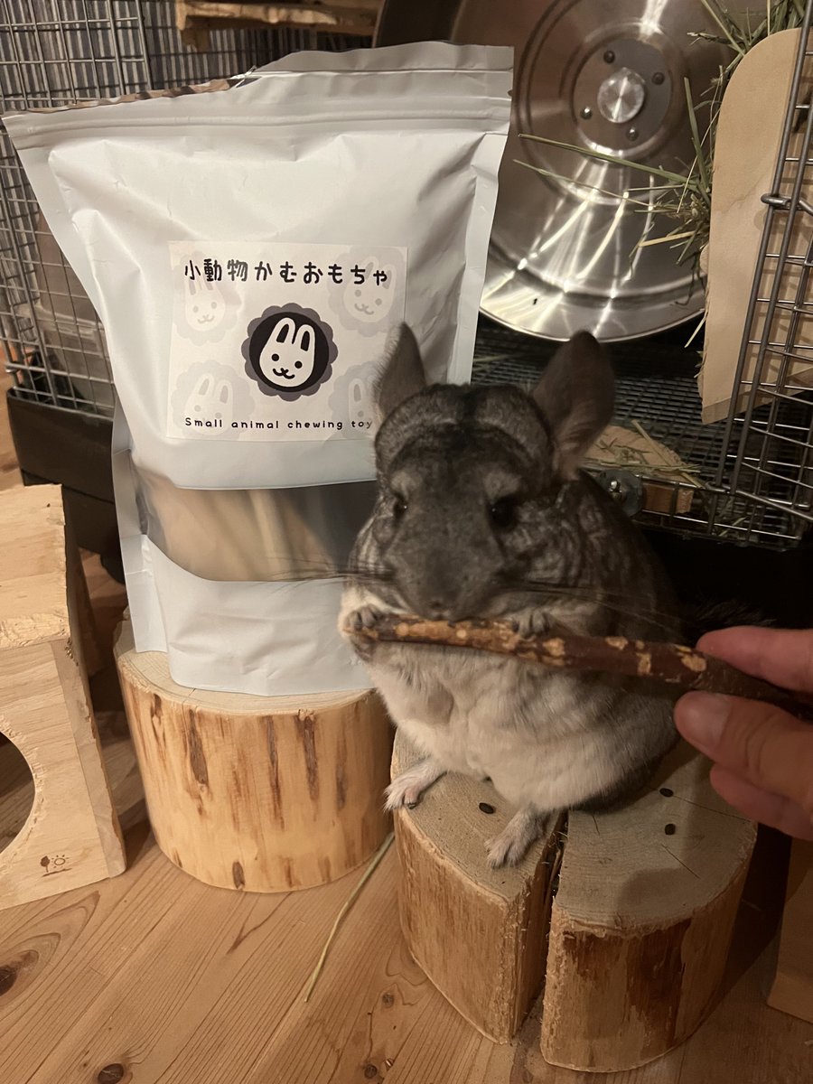 たぬきですが。 (@tanukidesuga93) / Posts / X