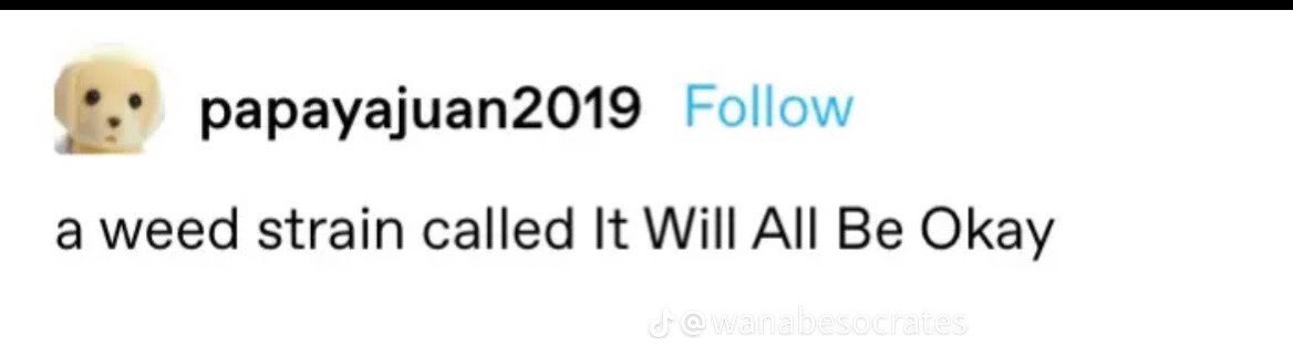 SensitiveHaze's tweet image. 