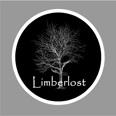 Sun. Sep 3 at 5:06 AM (Pacific Time), and 5:06 PM, we play 'Not My Own' by Limberlost @limberlost_band at Indie shuffle Classics show