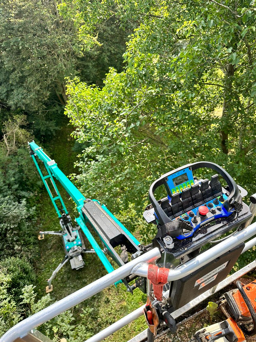 At Tree-Fella Jersey, we are thrilled to announce a game-changing addition to our tree care tools! Say hello to the IMER R23 Spider Lift – a cutting-edge aerial access platform that's set to take our services to new heights… literally!

#reachingnewheights