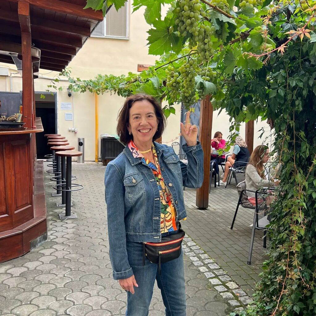 barbarafeldman's tweet photo. Stopped for lunch under the grape vines on the road from Prague to Vienna. https://t.co/QcoX19lEFE https://t.co/2dvg1PmIjK