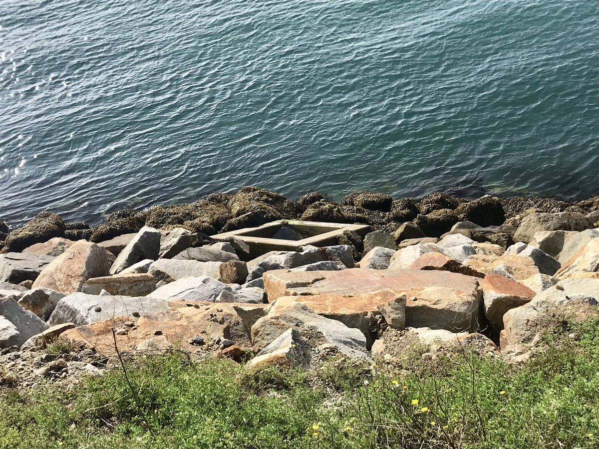 amelia_curd's tweet photo. 🏗🚢 Bit of hyper-urban 🪨 intertidal ecology this last spring tide w/team #lebco ! Do artificial rock pools increase (non-NIS) biodiversity in the revetment of this brand new wind turbine component holding polder? Nearly 3️⃣ years of monitoring and the answer keeps changing! https://t.co/aUKCYTcnUw