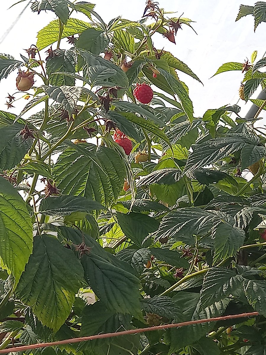 September in Scotland..