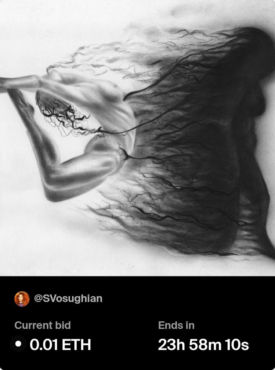 0xDariush's tweet image. Just opened an auction for one of my favorite artists @SVosughian on @foundation .

#Ethereum #foundationart