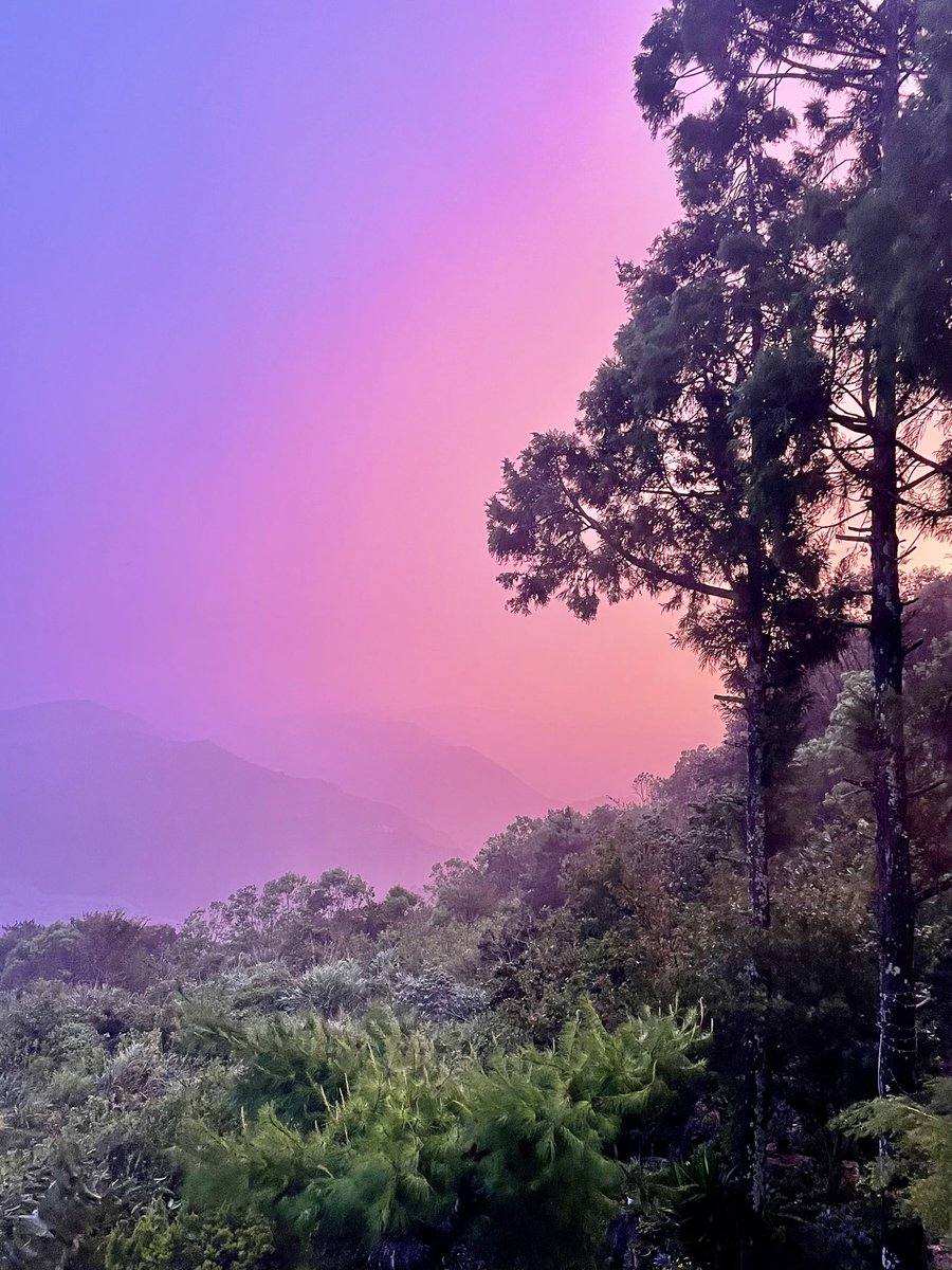 Melder alt OK fra Taiwan trods tyfon. Jeg er i sikkerhed i Ren’ai og har godt med mad ✌🏻Jeg kan desuden fortælle, at himlen får en meget smuk lilla farve, inden en tyfon rammer, se hvor fint 🤩