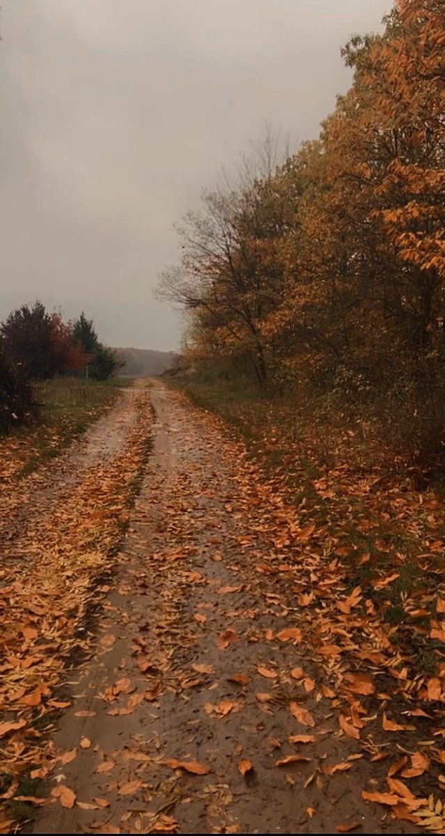 ldrservescunt's tweet photo. autumn is superior https://t.co/pFH0k8aLq8