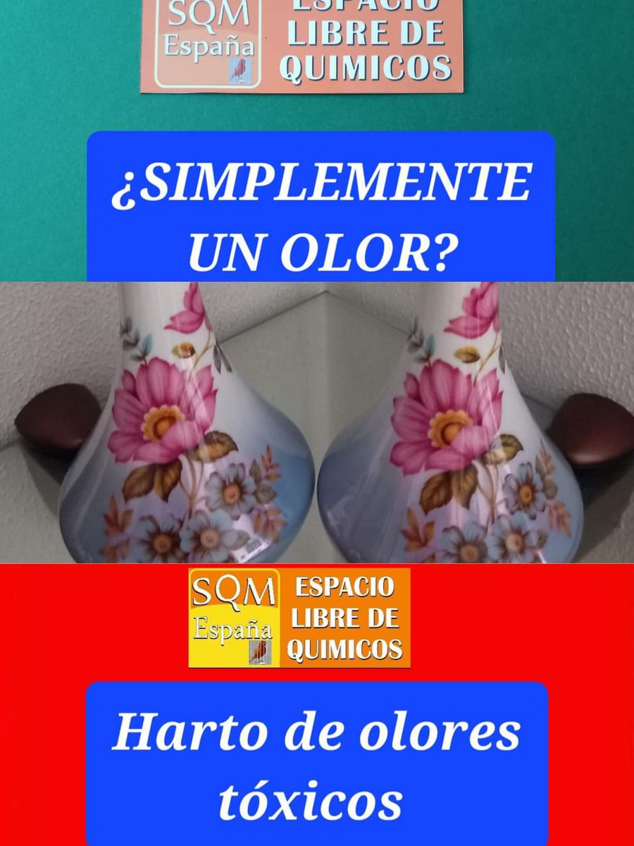 MARIAANGELESSOT's tweet photo. ¿SIMPLEMENTE UN OLOR?

El olfato es un sentido que normalmente se tiende a subestimar. En cambio, el de los olores, es un mundo infinitamente complejo. Nuestro mundo es sobre todo auditivo-visual, pero si pudiéramos hacer la experiencia de ser ...más https://t.co/MDqkVig8Ka https://t.co/nvUZ8VITEP