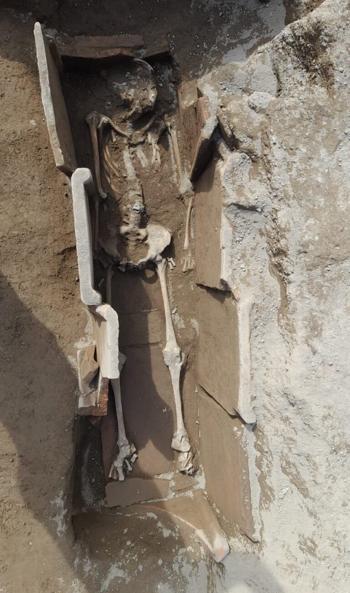 ClassiCult tweet media