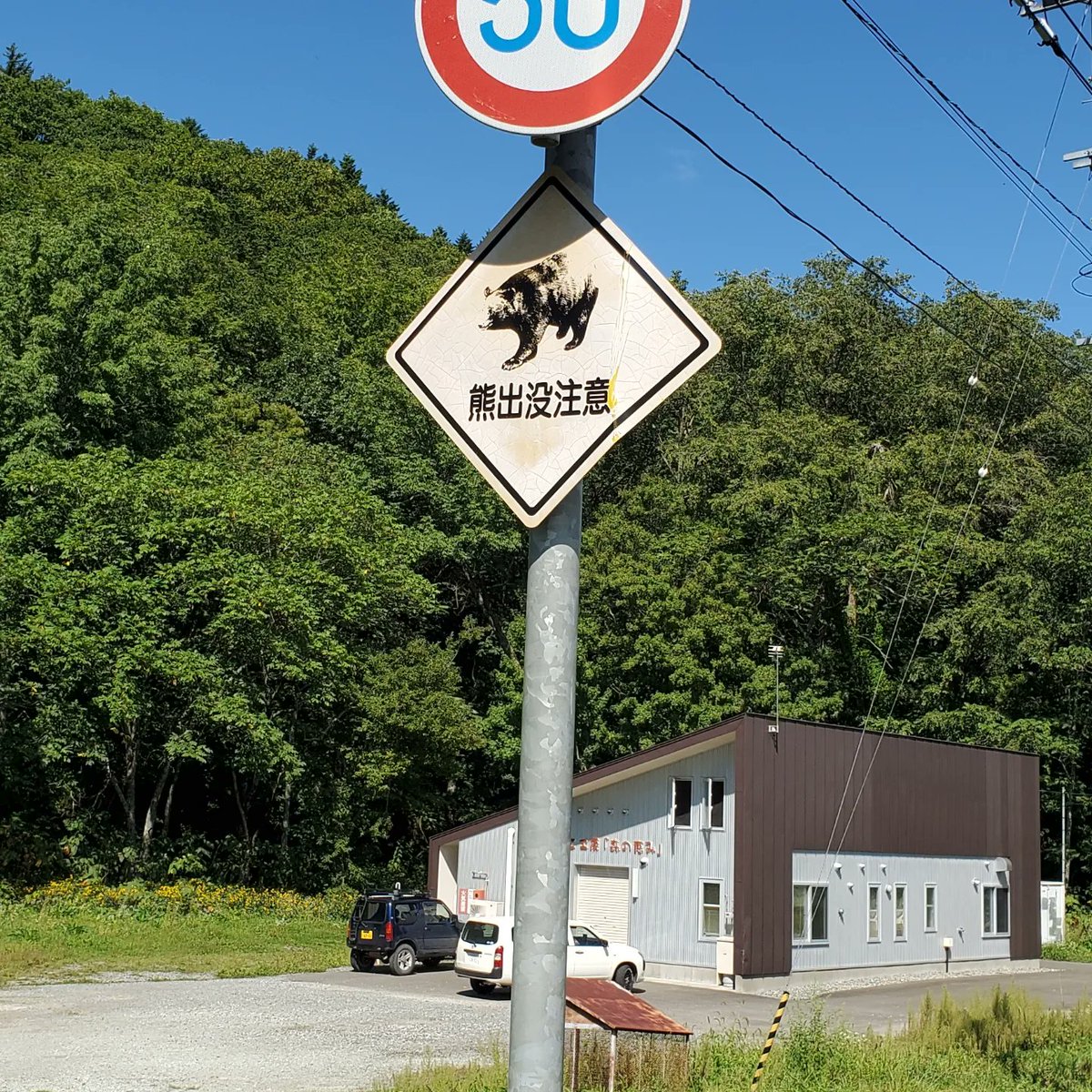 124ishiwatari's tweet image. 北海道はいいぞん❗
#ritcheybikes  #ritcheylogic 
#panaracer  #restrap