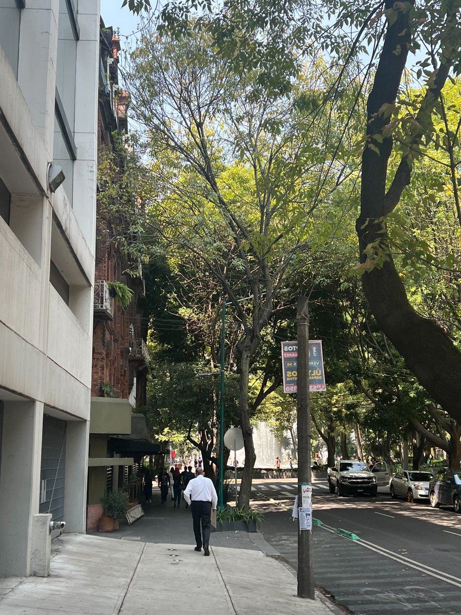 MauerNFT's tweet image. Buenos días México 💛