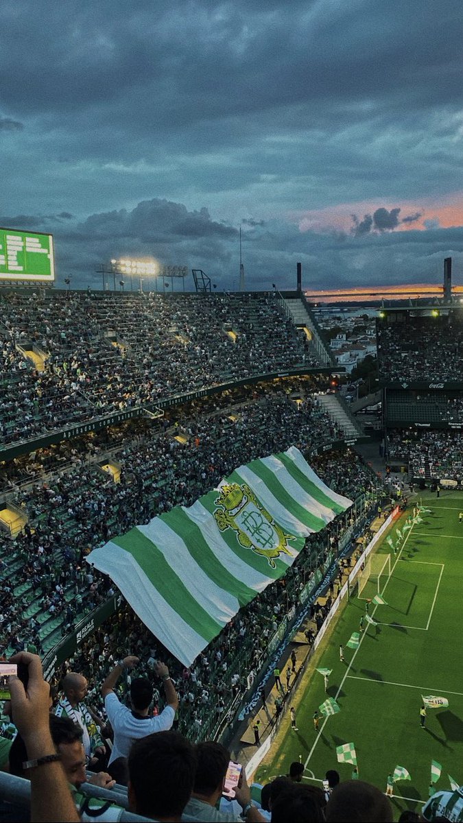 Ricardov_03's tweet photo. 𝑆𝐸𝑁𝑇𝐼𝑀𝐼𝐸𝑁𝑇𝑂 𝑉𝐸𝑅𝐷𝐼𝐵𝐿𝐴𝑁𝐶𝑂 💚🤍 https://t.co/dtFYw8eM46