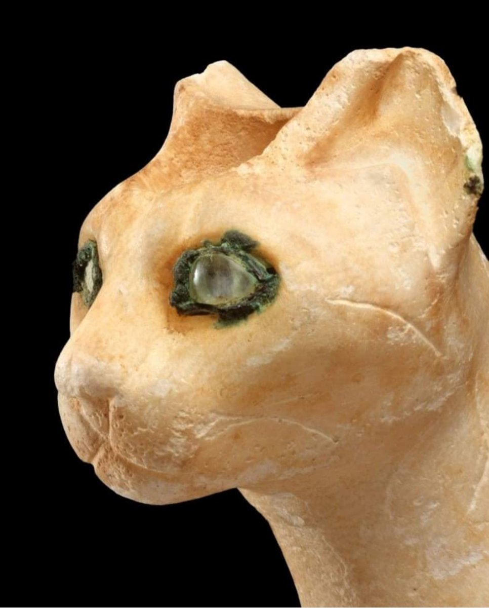 The head of an ancient Egyptian alabaster cat-shaped cosmetic vessel with eyes made of rock crystal. 12th Dynasty, Middle Kingdom, 1990–1900 BCE. The Metropolitan Museum of Art, New York (1990.59.1) metmuseum.org/art/collection…