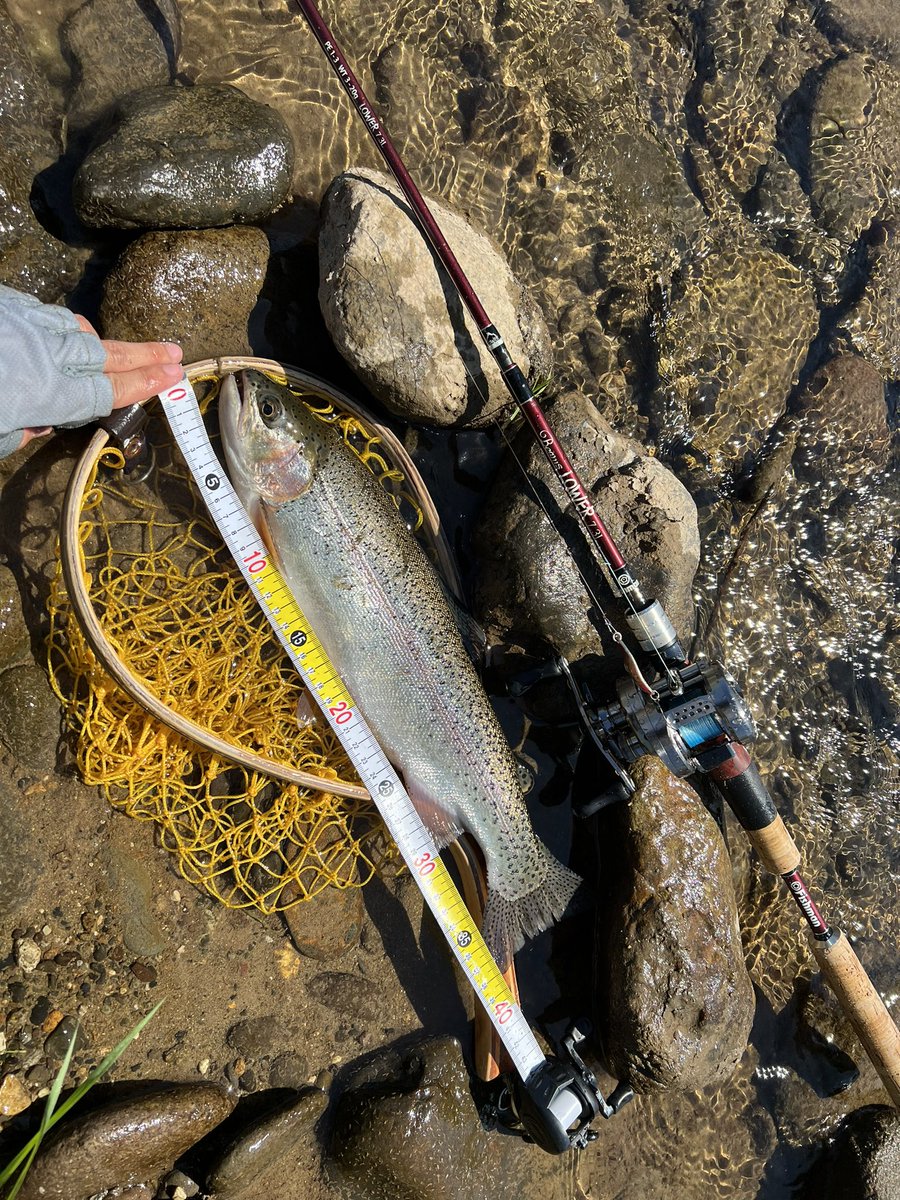 f_hiroto0311's tweet photo. リハビリフィッシュ
ようやく指が治ってきた
本流ニジマス&amp;湿原アメマス
#Fishman https://t.co/6XgNg4z8GS