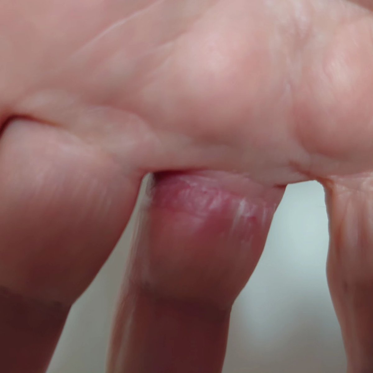 Rob Mac 💗(Mr Pink)💗 tweet media