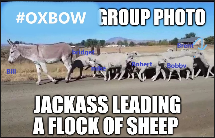 OxbowF15865's tweet photo. https://t.co/IW645OoXu2
