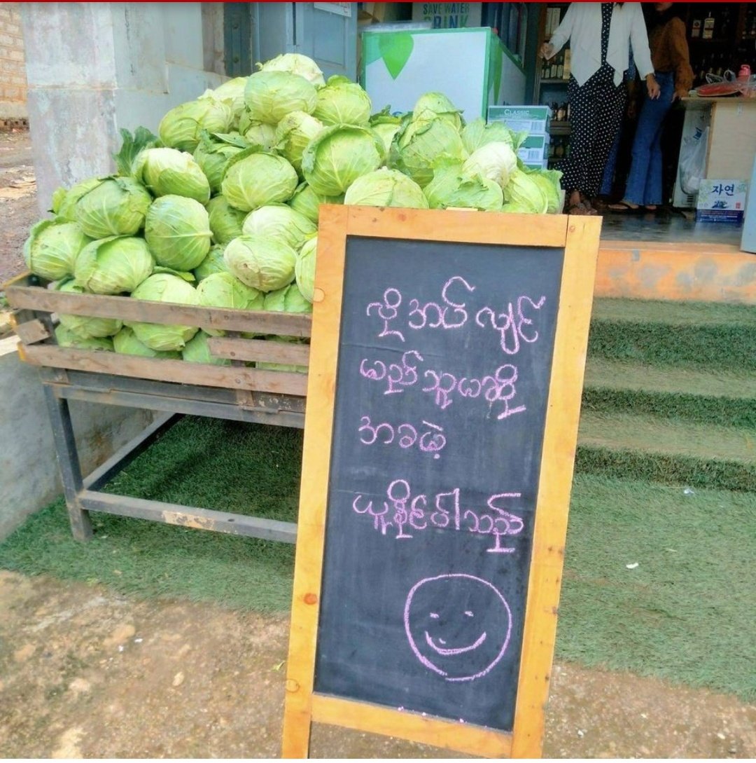 NantEiThandar's tweet photo. In #PinLong Township, farmers said, the price of cabbage from Nyaung Tayar region has fallen so low to even recoup the capital and so they are donating the whole farm free of charge under the “Take if you need,donate the surplus”program.
#2023Sep3Coup
#WhatsHappeninglnMyanmar https://t.co/BBZ9igFOg1