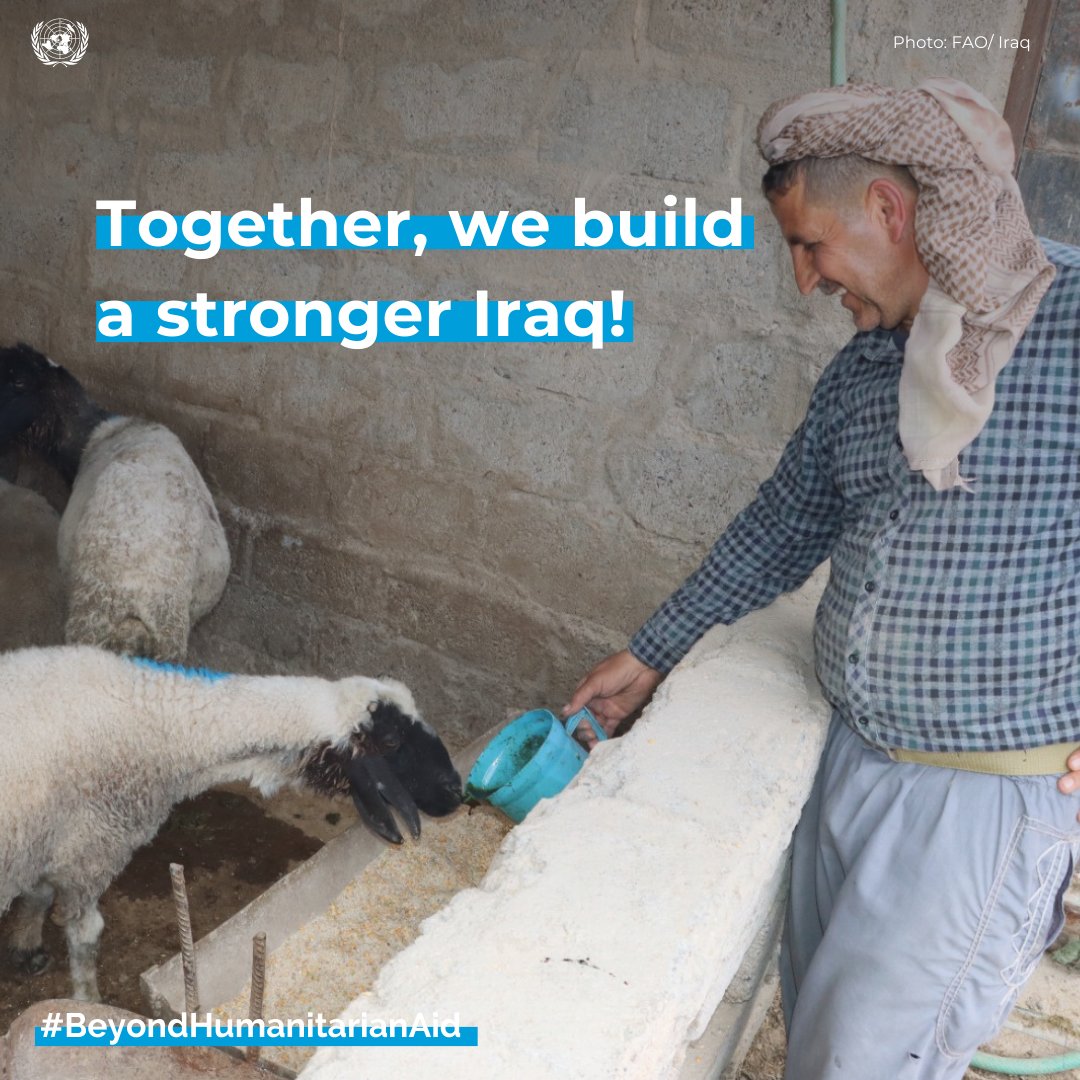 Small-scale farmers are at the root of Iraq's #FoodSystems! @FAOIraq continues to empower farming communities, focusing on IDPs & returnees by targeting smallholder farmers, building their capacities & providing them access to resources & markets. #BeyondHumanitarianAid