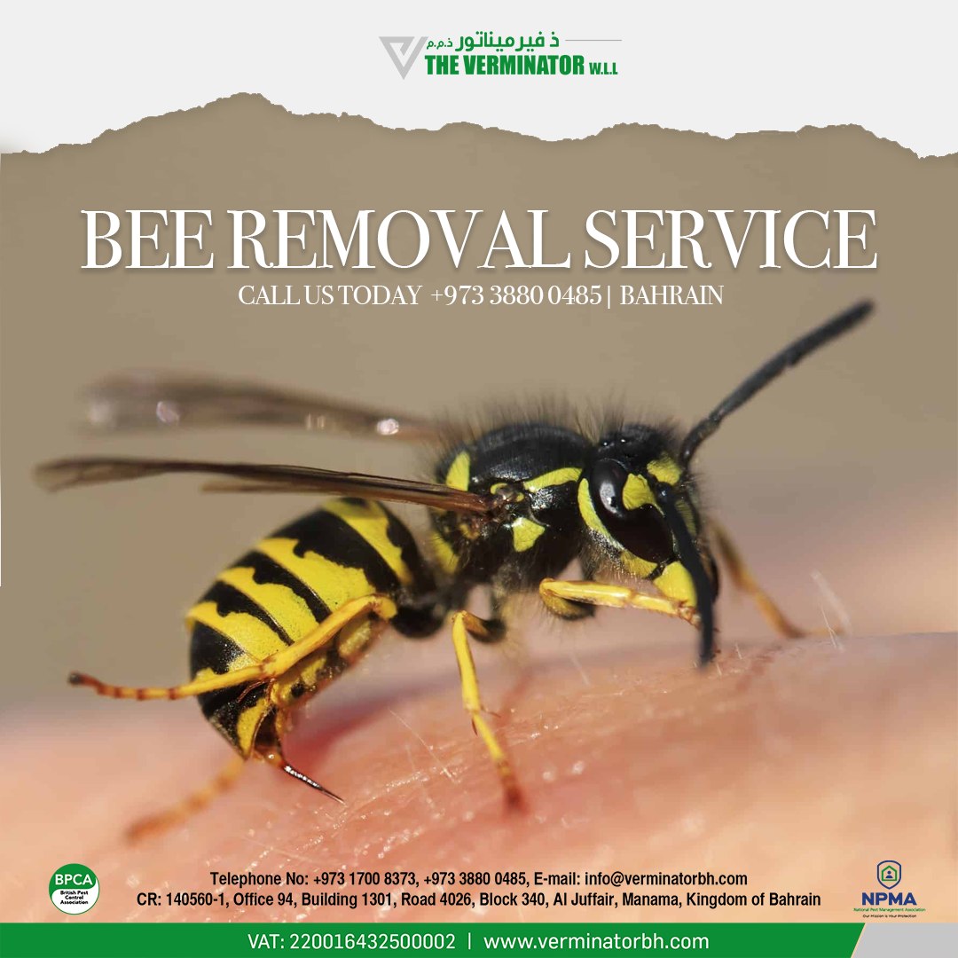 verminatorwll's tweet photo. Buzzing Solutions for a Sweeter #Bahrain ! 
Embracing #Eco-Friendly #Bee #PestControl

Just #call us: +973 17008373
#WhatsApp : +973 38800485
https://t.co/EuaeBdpjcV

#BahrainBusiness #beescontrol 
#pestcontrolsevices #pest #bahrainpestcontrol #EcoFriendlyPestControl https://t.co/lWxGKgXn2J